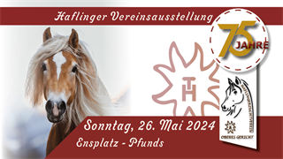 Haflinger Vereinsausstellung